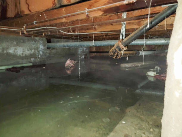 Best Commercial water damage restoration  in Rio Grande City, TX