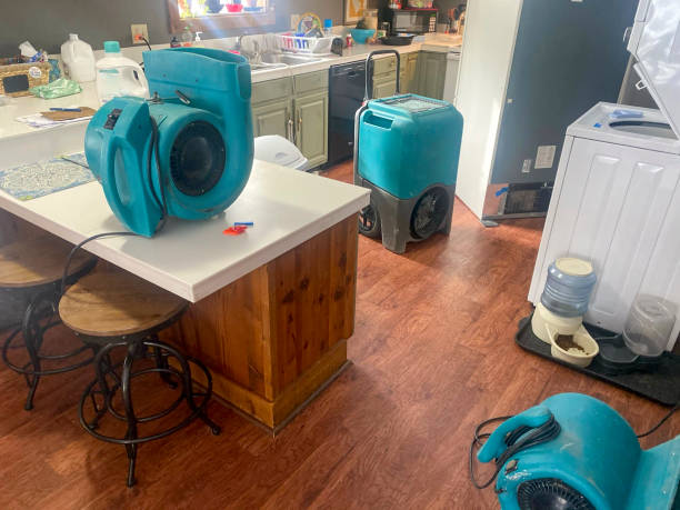 Best Ceiling water damage repair  in Rio Grande City, TX