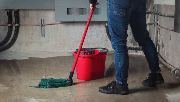 Best Basement water damage restoration  in Rio Grande City, TX