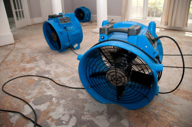 Water damage restoration experts in Rio Grande City, TX