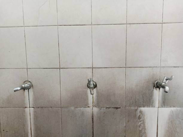 Best Mold removal after water damage  in Rio Grande City, TX