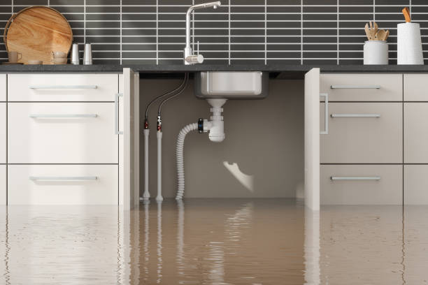 Best Water damage cleanup near me  in Rio Grande City, TX